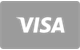 Visa card payment method accepted at Pistolo Casino